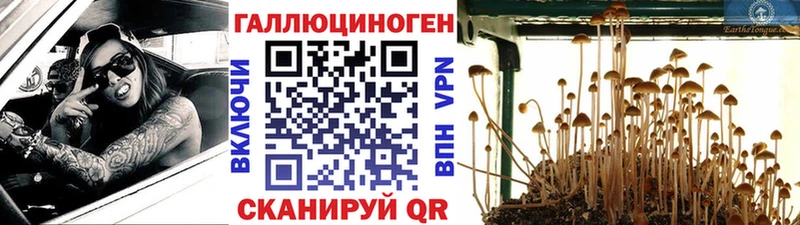 Псилоцибиновые грибы MAGIC MUSHROOMS  хочу наркоту  Дегтярск 